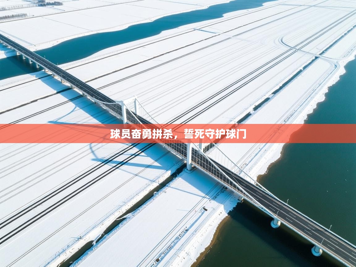 球员奋勇拼杀，誓死守护球门  第2张