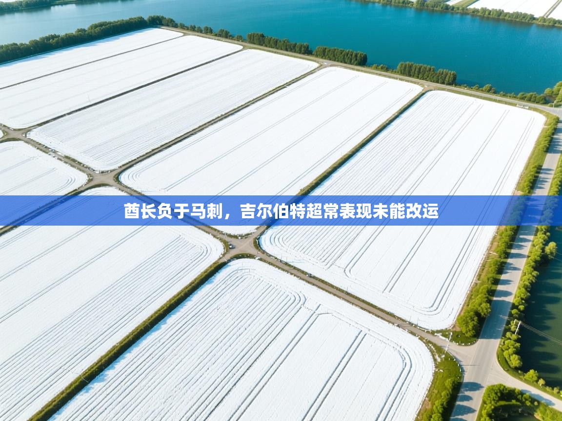 酋长负于马刺，吉尔伯特超常表现未能改运  第2张