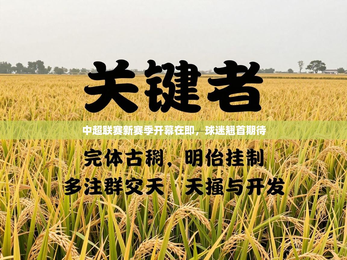 中超联赛新赛季开幕在即，球迷翘首期待  第2张