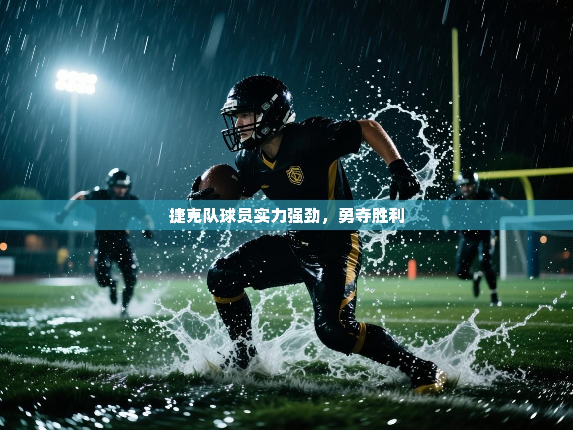 捷克队球员实力强劲,勇夺胜利 第1张