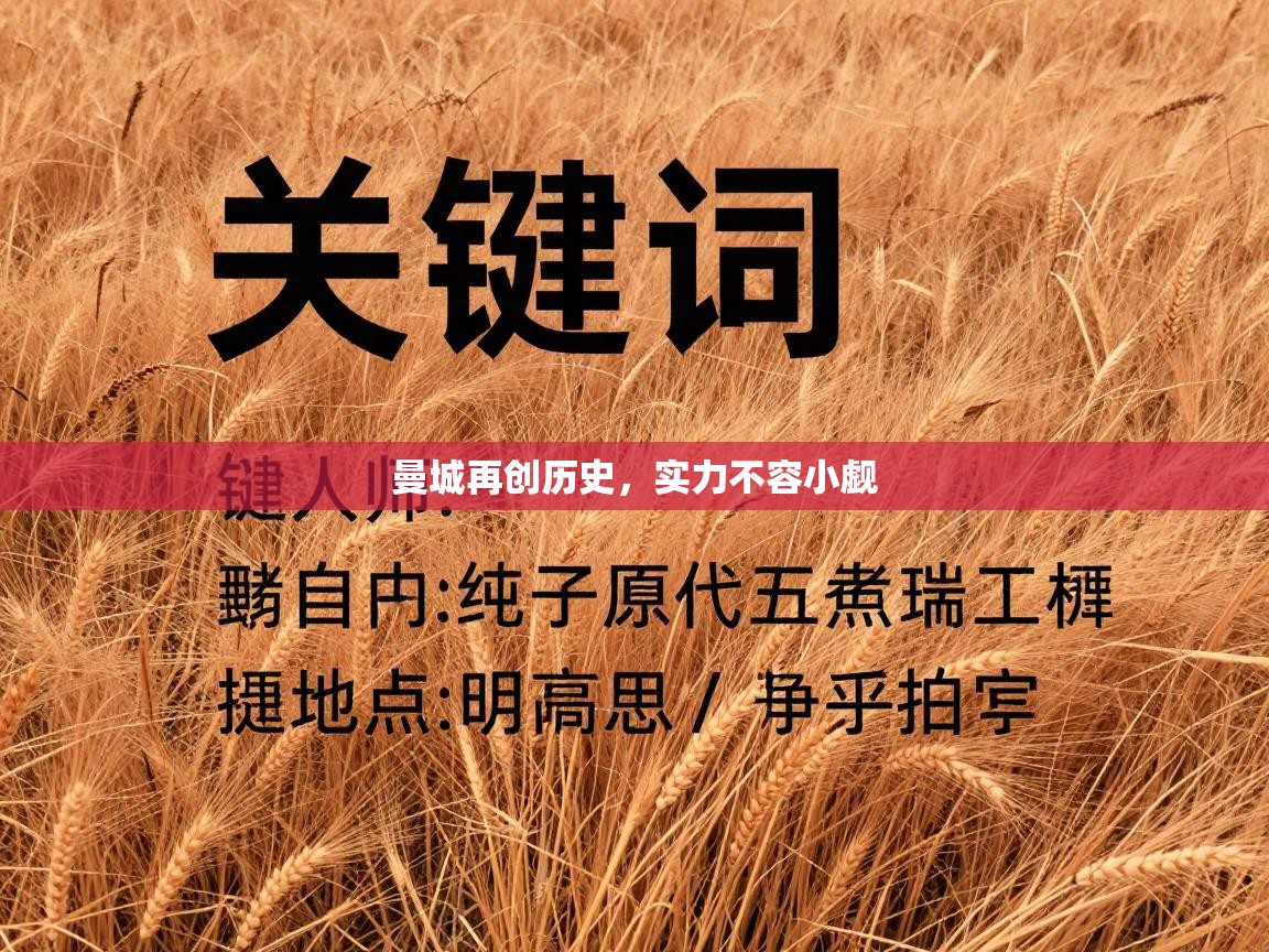 曼城再创历史，实力不容小觑  第1张