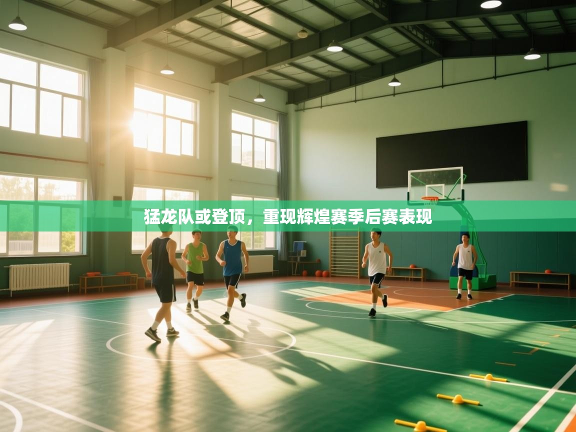 猛龙队或登顶，重现辉煌赛季后赛表现  第2张