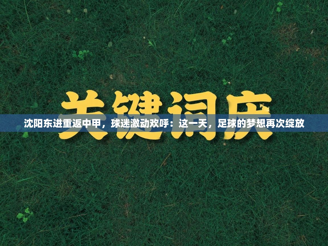 沈阳东进重返中甲,球迷激动欢呼:这一天,足球的梦想再次绽放 第1张