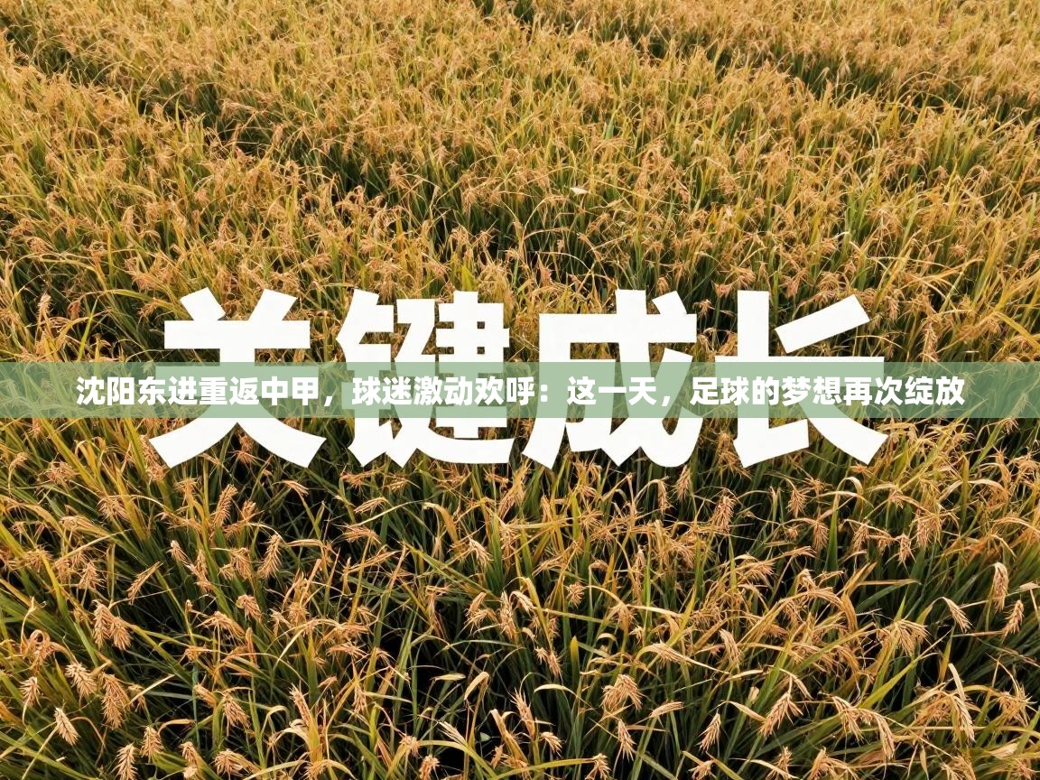 沈阳东进重返中甲,球迷激动欢呼:这一天,足球的梦想再次绽放 第2张